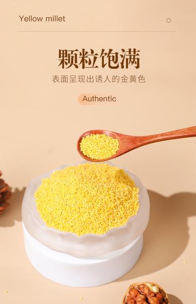 正宗陕北米脂黄小米