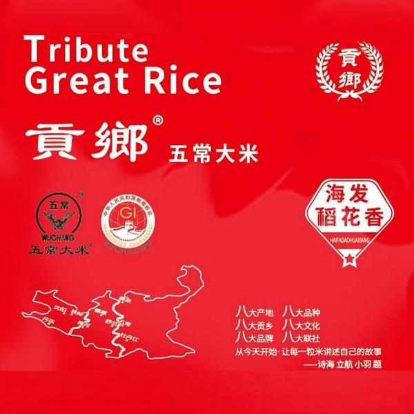 五常大米 贡乡 稻花香2号 24年新米10斤